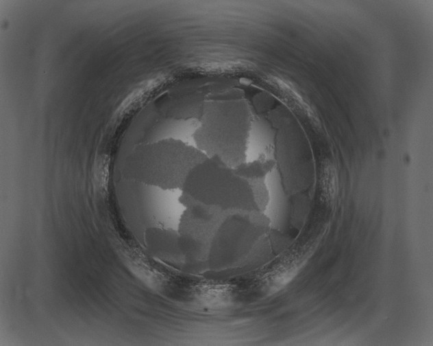 X0000087630495200705031449