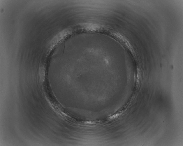 X0000087630496200705031449