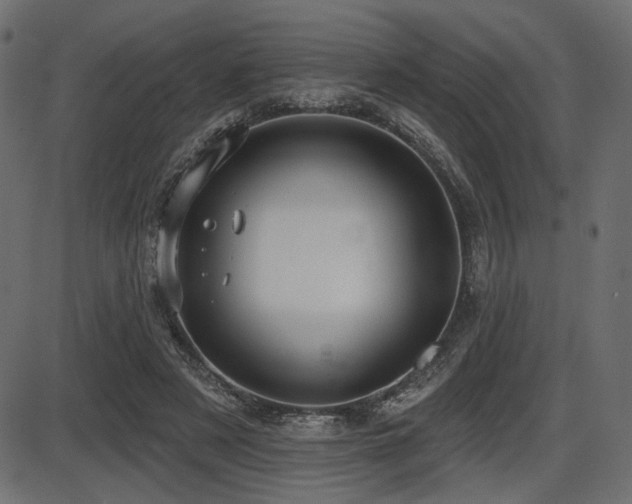 X0000087630497200705031449