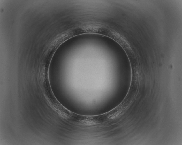 X0000087630498200705031449