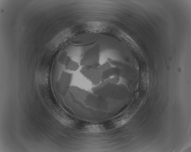 X0000087630499200705031449