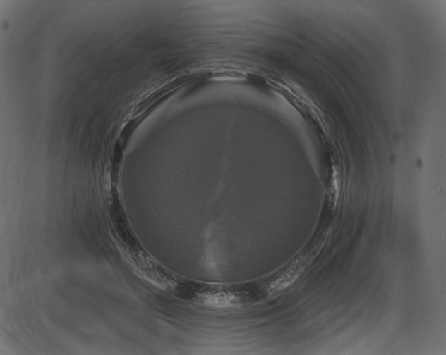 X0000087630500200705031449