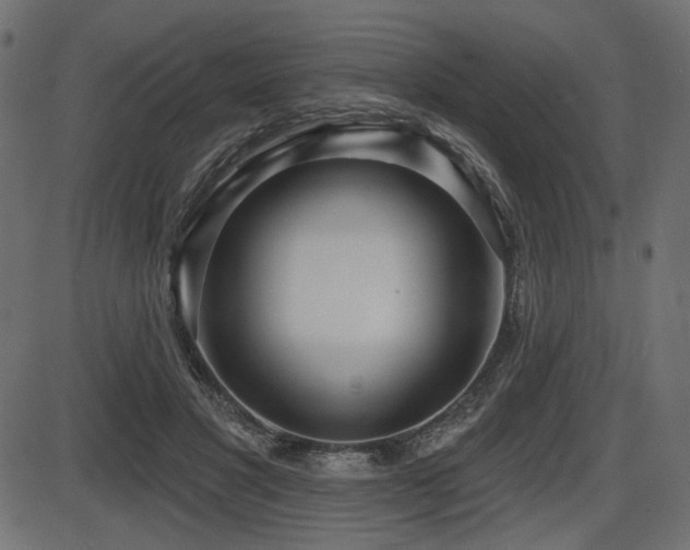 X0000087630501200705031449