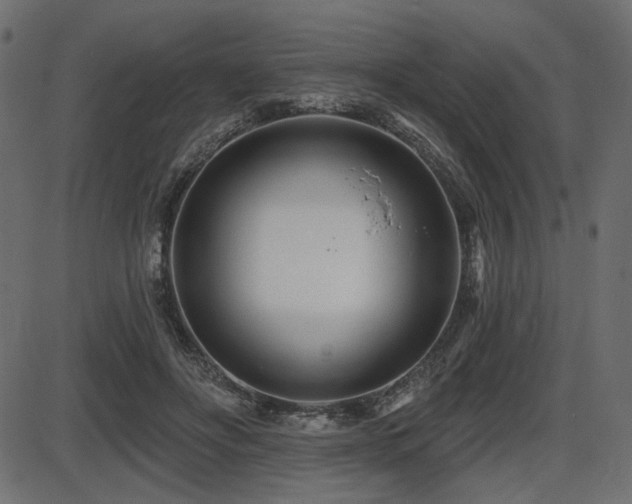 X0000087630502200705031449