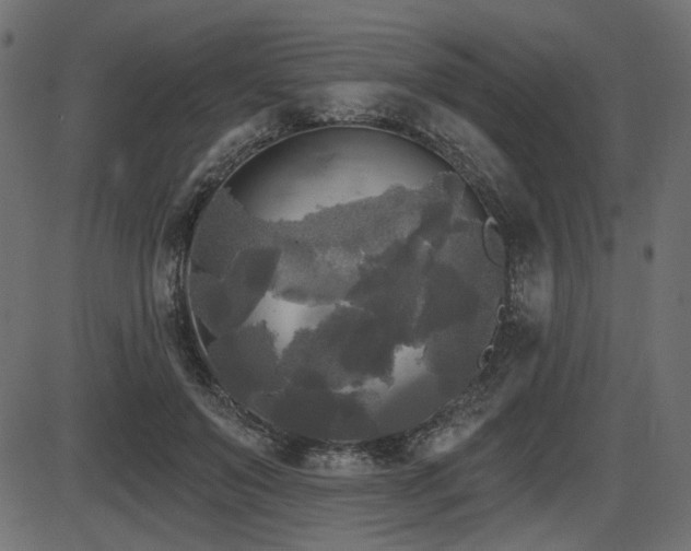 X0000087630503200705031449