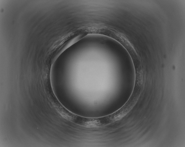 X0000087630505200705031449