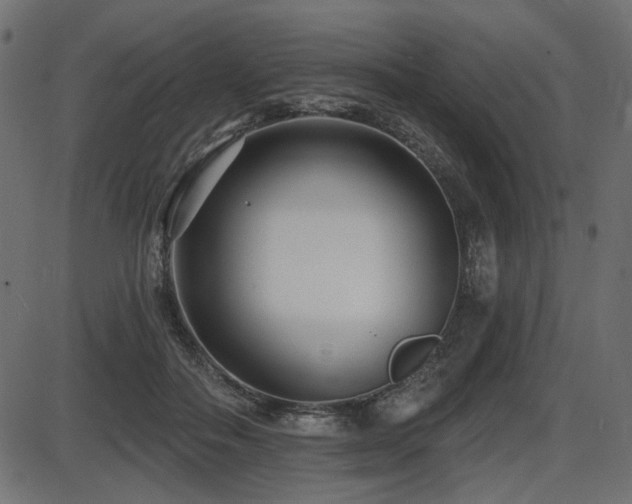 X0000087630506200705031449