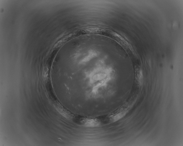 X0000087630507200705031449