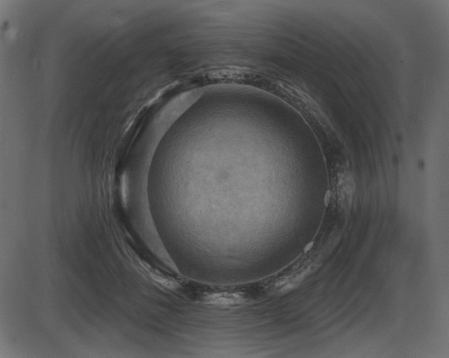 X0000087630508200705031449