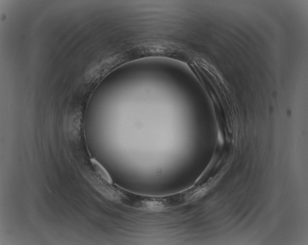 X0000087630509200705031449