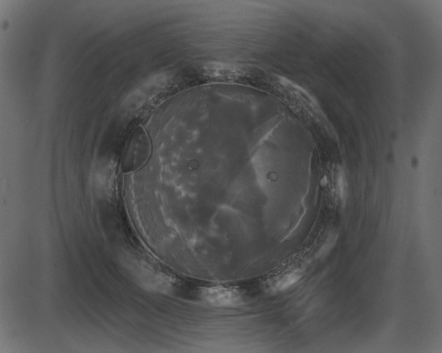 X0000087630511200705031449