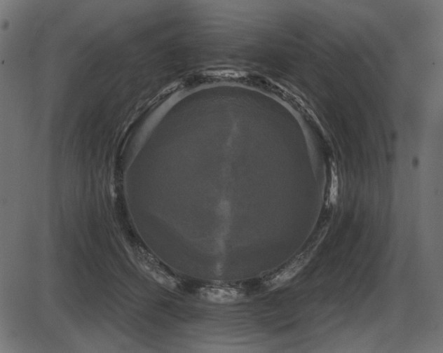 X0000087630512200705031449