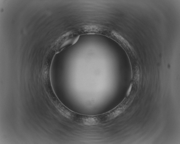 X0000087630513200705031449