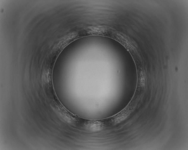 X0000087630514200705031449