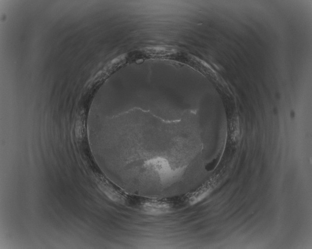 X0000087630515200705031449