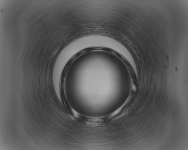 X0000087630516200705031449