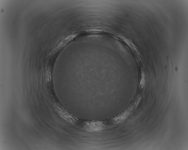 X0000087630517200705031449