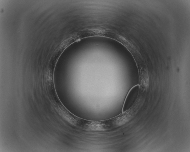 X0000087630518200705031448