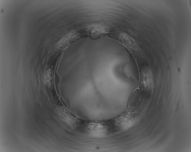 X0000087630519200705031448