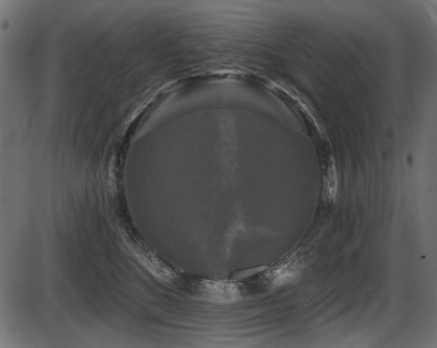 X0000087630520200705031448
