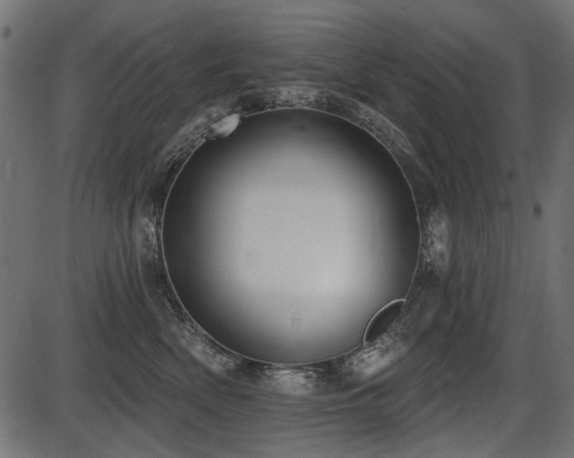 X0000087630522200705031448