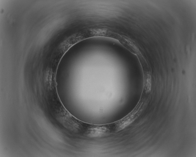 X0000087630525200705031448