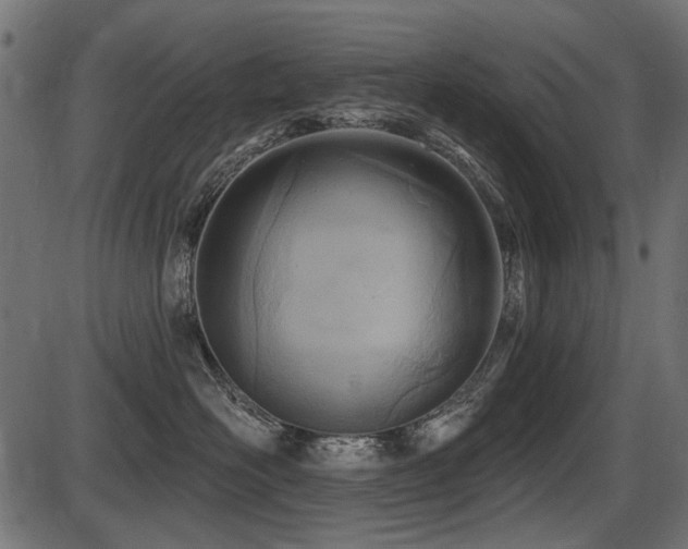 X0000087630526200705031448