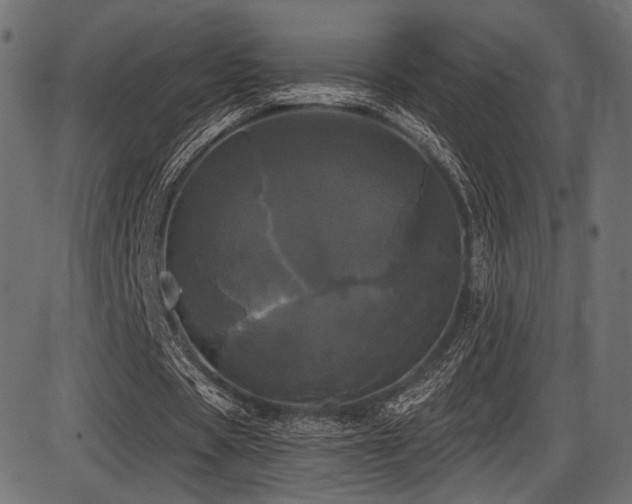 X0000087630529200705031448