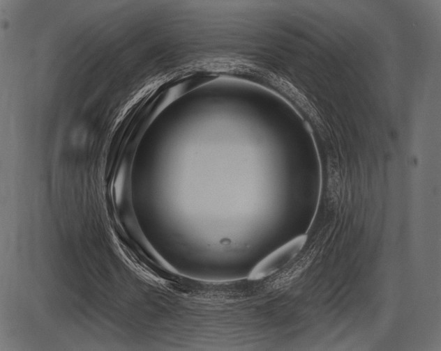 X0000087630530200705031448