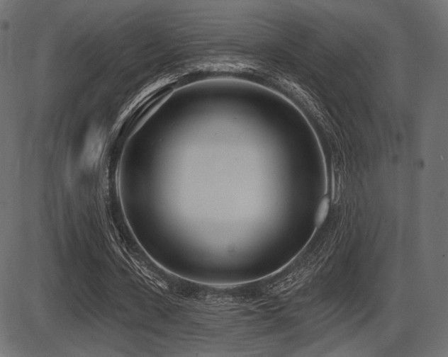 X0000087630531200705031448