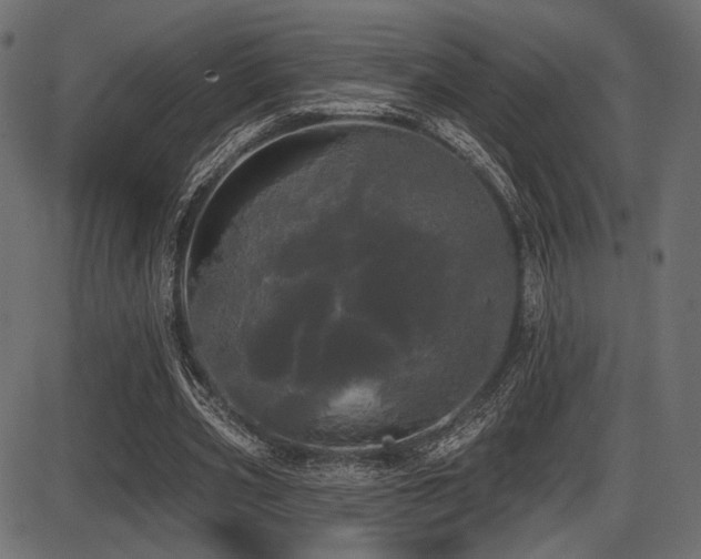 X0000087630533200705031448