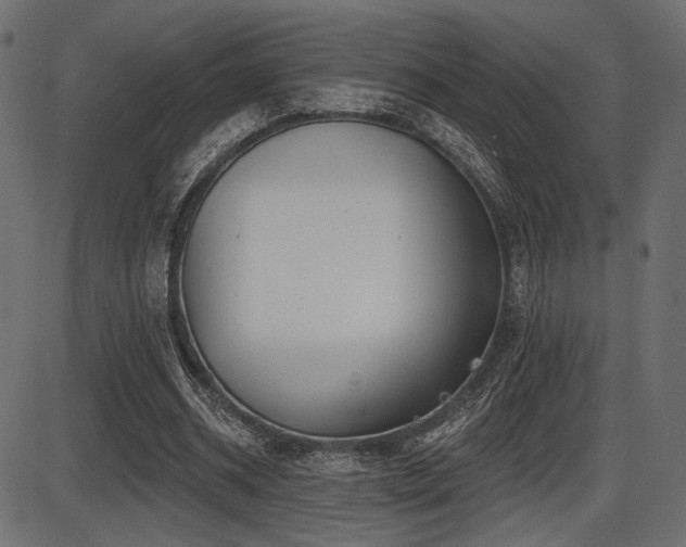 X0000087630534200705031448