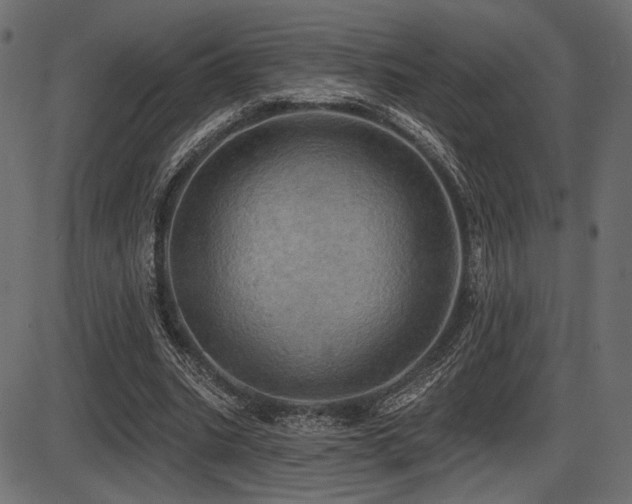 X0000087630535200705031448