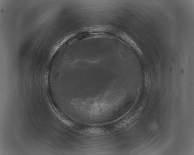 X0000087630537200705031448