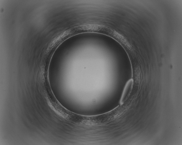 X0000087630538200705031448