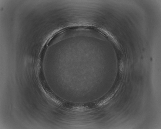 X0000087630540200705031448
