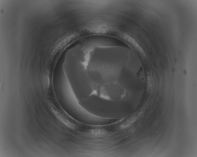 X0000087630541200705031448