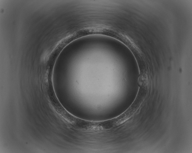 X0000087630543200705031448