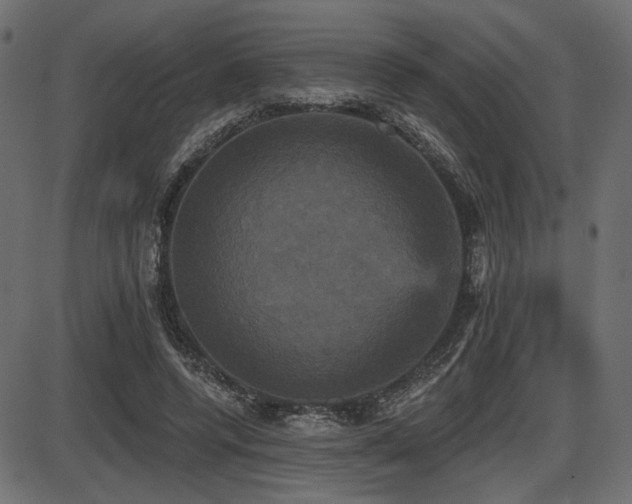 X0000087630544200705031448