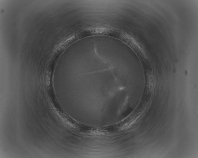 X0000087630545200705031448