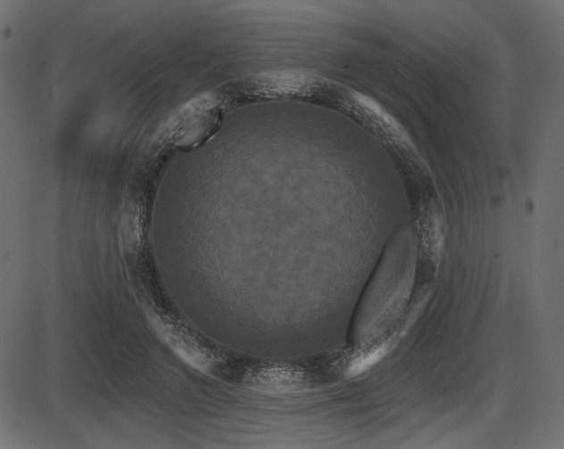 X0000087630546200705031448