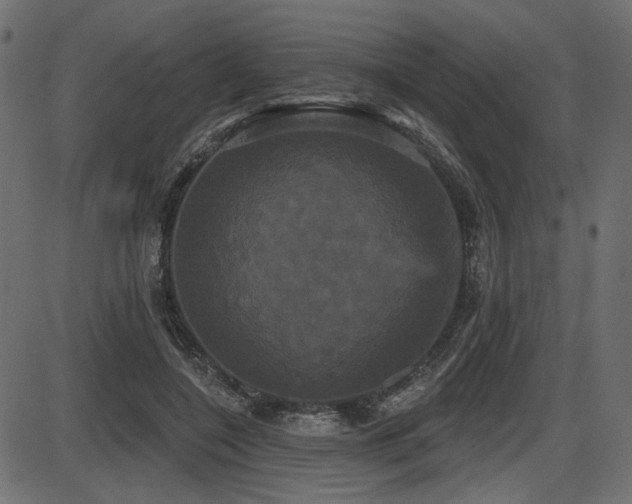 X0000087630548200705031448