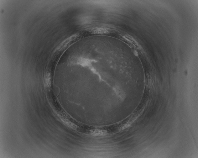 X0000087630549200705031448