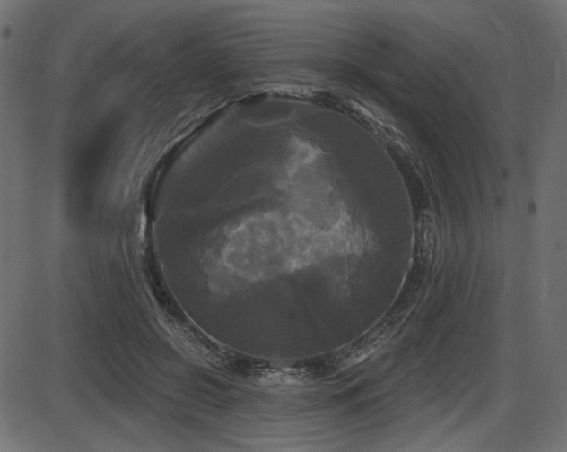 X0000087630550200705031448