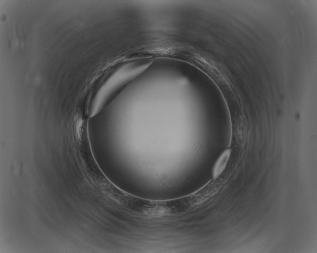 X0000087630551200705031448