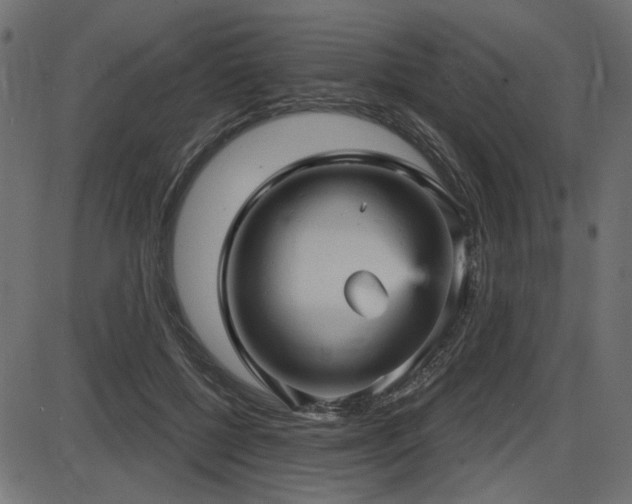 X0000087630552200705031448