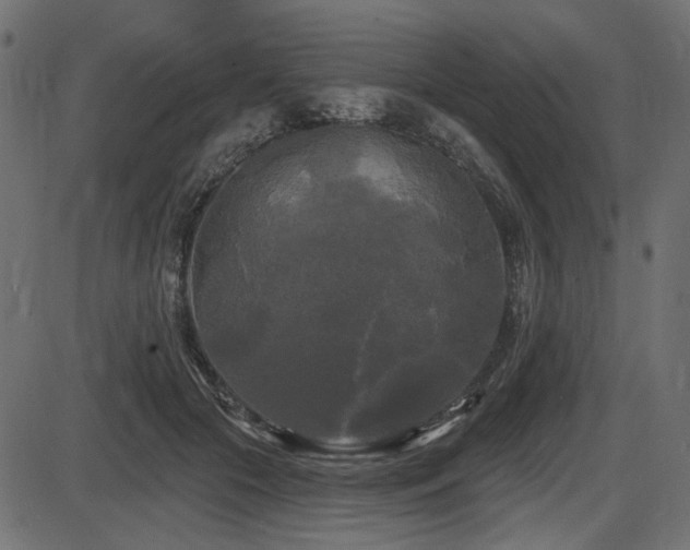 X0000087630553200705031448