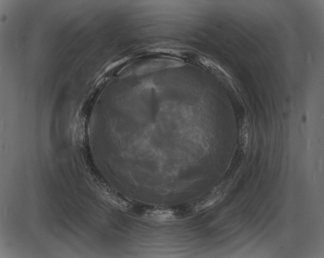 X0000087630554200705031448