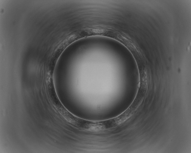 X0000087630555200705031448