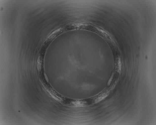 X0000087630558200705031448